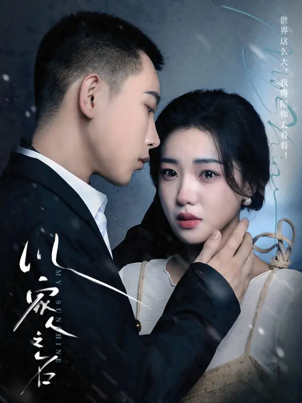 《以家人之名短剧》全集高清完整版在线观看与剧情解析