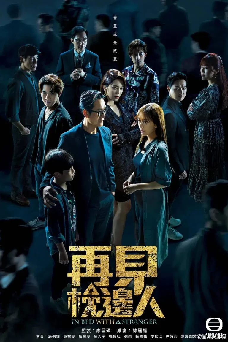 《再见枕边人国语》全集高清完整版在线观看与剧情解析