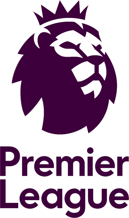 英超 西汉姆联vs狼队20241210