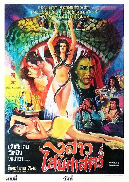 《邪魔女[电影解说]》全集高清完整版在线观看与剧情解析