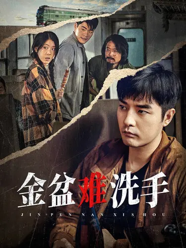 《金盆难洗手》全集高清完整版在线观看与剧情解析
