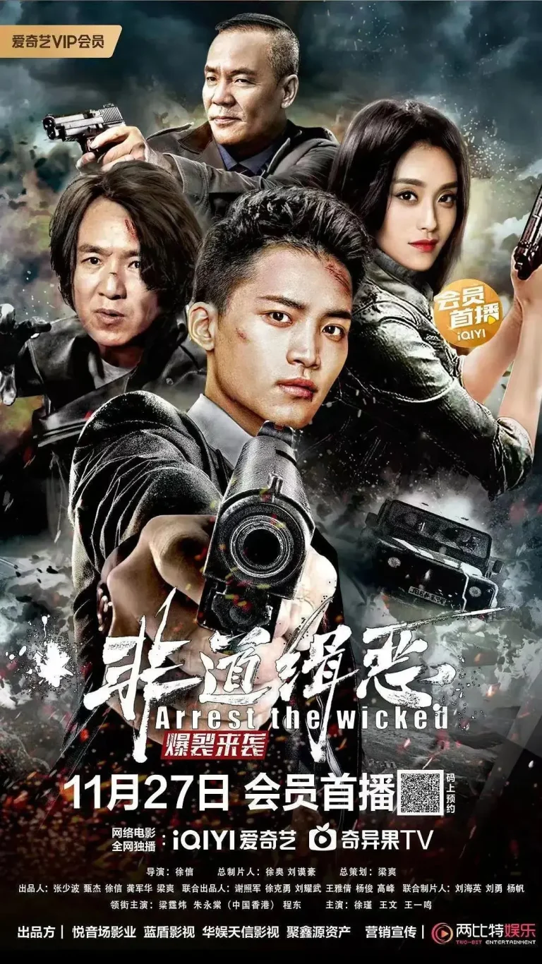 《非道缉恶》全集高清完整版在线观看与剧情解析